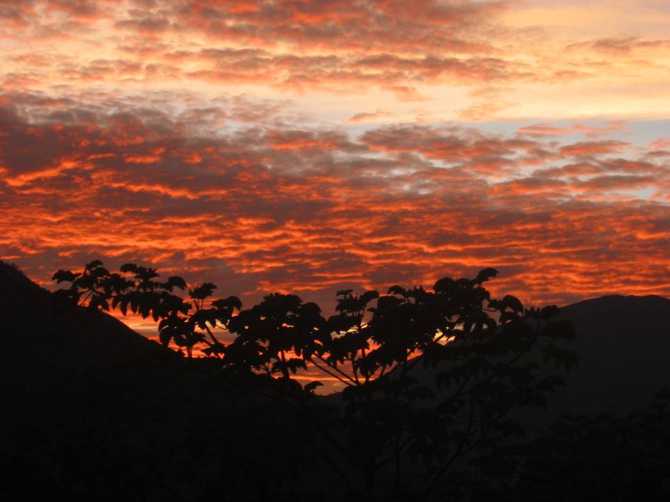 Sonnenaufgang in Bolivien/Yungas