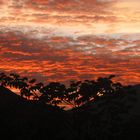 Sonnenaufgang in Bolivien/Yungas