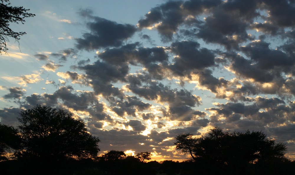 Sonnenaufgang in Botswana