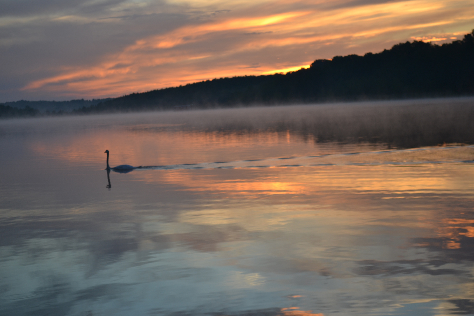 sonnenaufgang in brandenburg am see