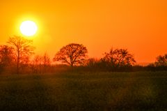 Sonnenaufgang in Brodersby