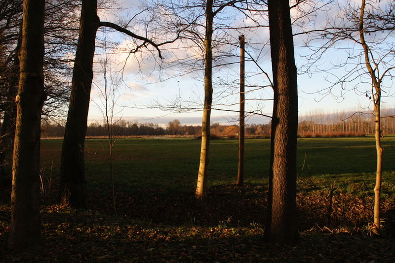 Sonnenaufgang in Burg (Spreewald)