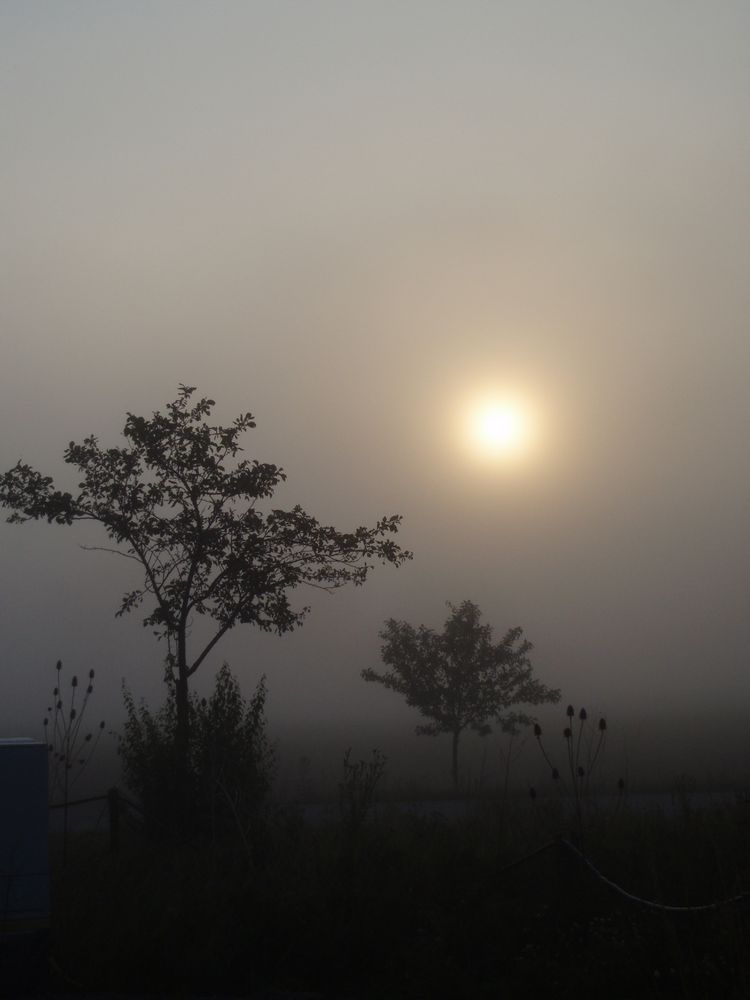 Sonnenaufgang in Buttstädt