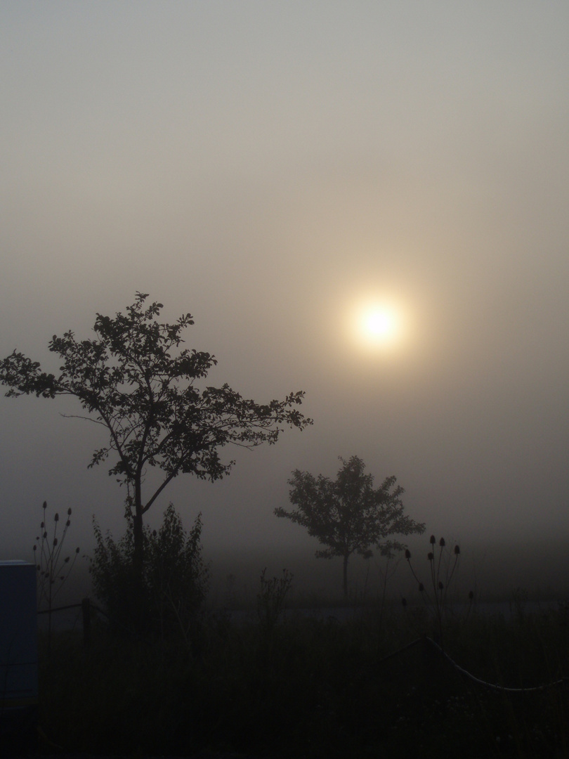 Sonnenaufgang in Buttstädt