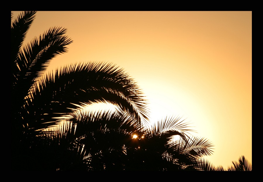 Sonnenaufgang in Cala Mandia