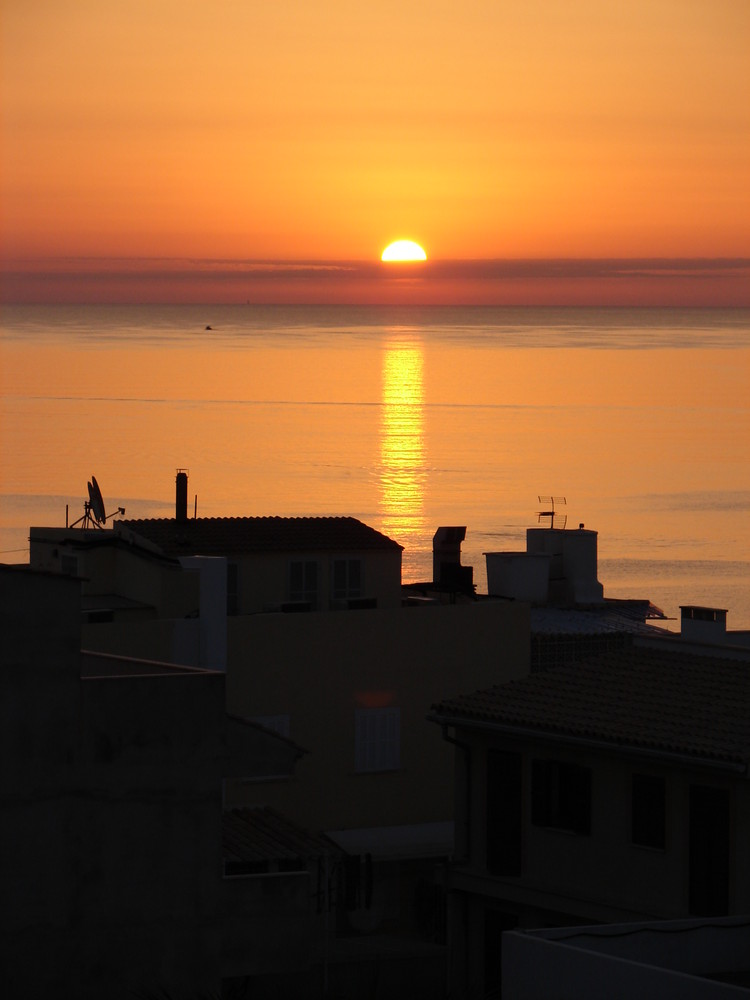 Sonnenaufgang in Can Picafort / Mallorca