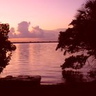 Sonnenaufgang in Cap Coral (Fl)