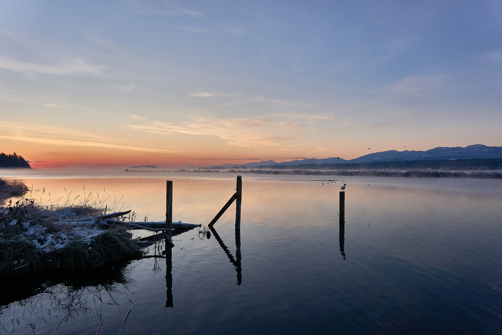 Sonnenaufgang in Comox 