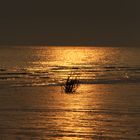 Sonnenaufgang in Cuxhaven