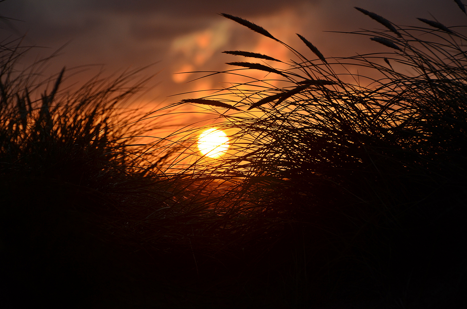 Sonnenaufgang in Dänemark