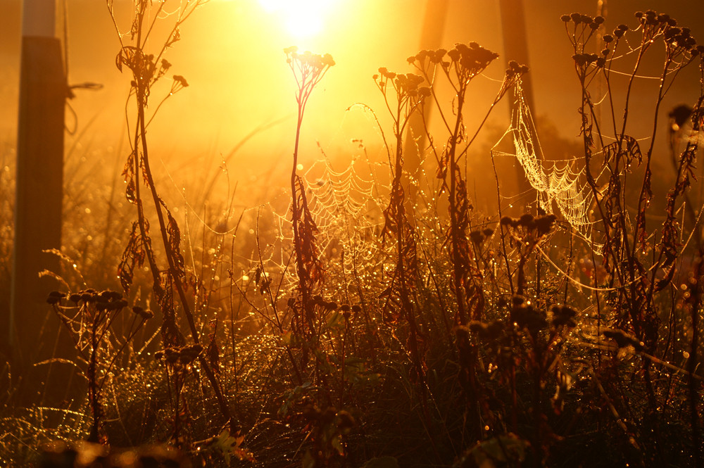 Sonnenaufgang in Dänemark