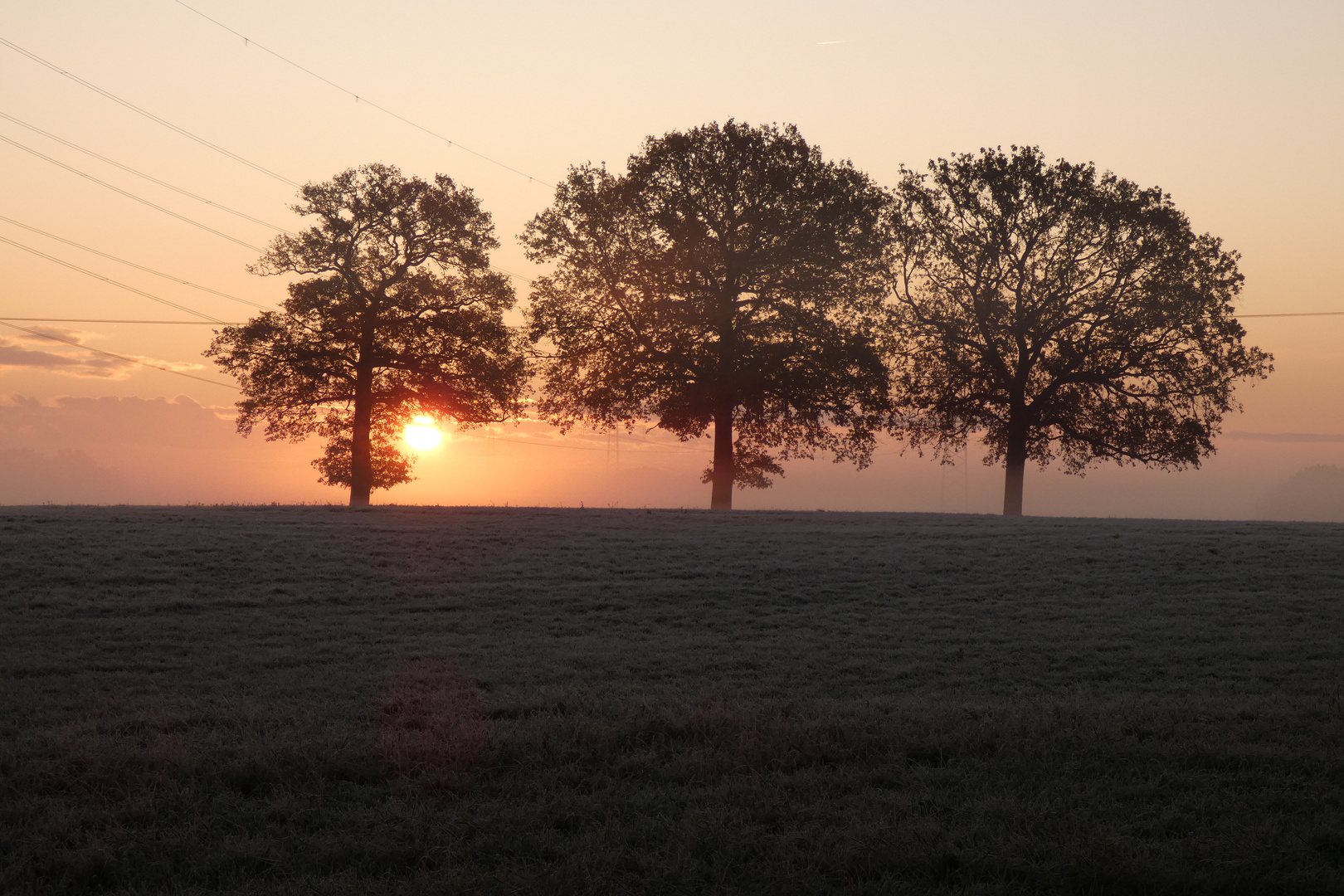 Sonnenaufgang in den Ahsewiesen