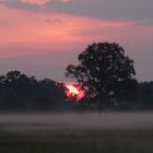 Sonnenaufgang in den Ahsewiesen, 5.20 Uhr