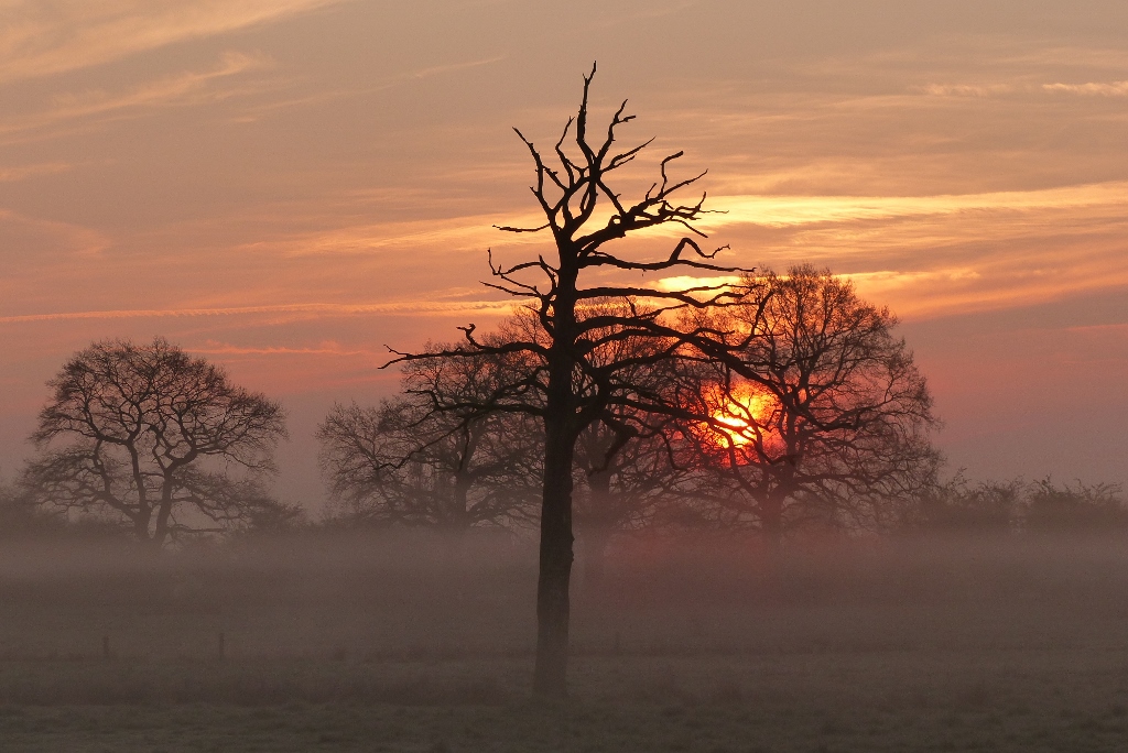 Sonnenaufgang in den Ahsewiesen