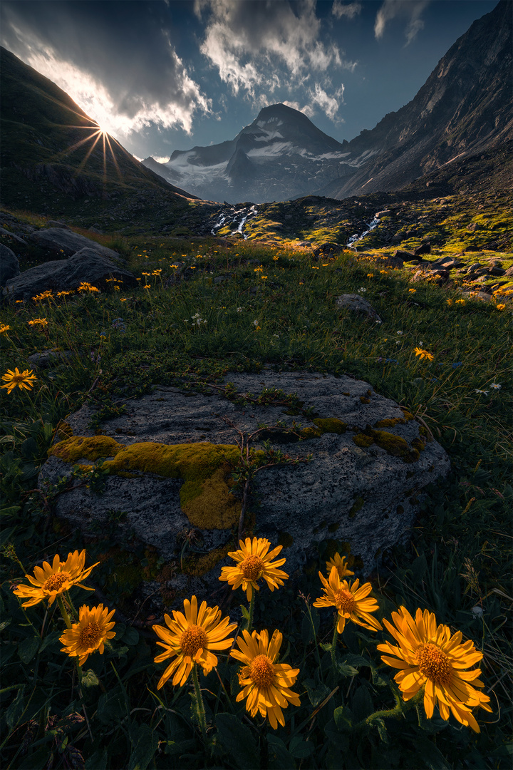 Sonnenaufgang in den Alpen