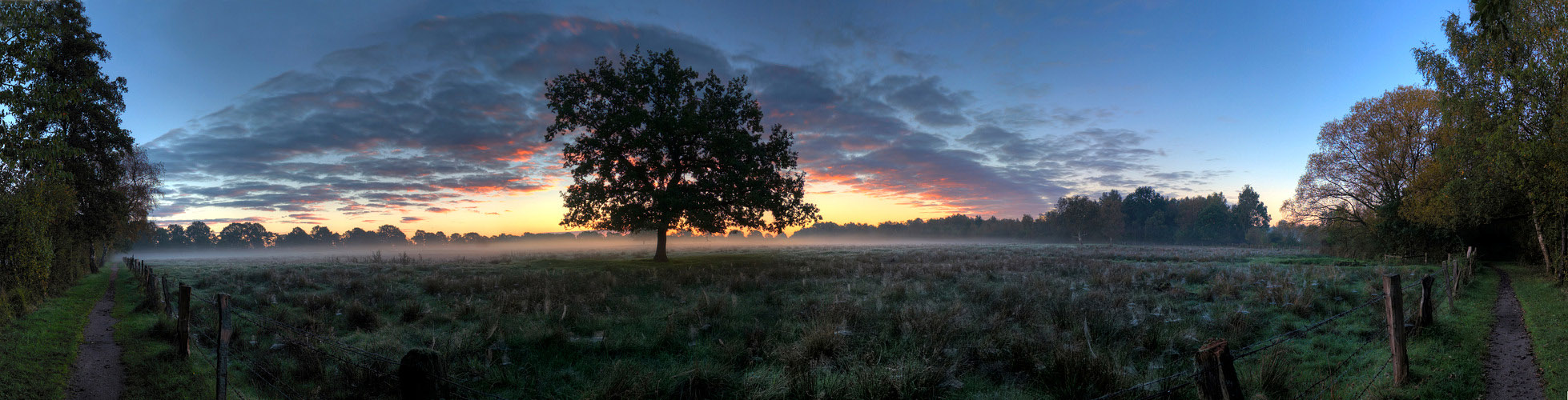 Sonnenaufgang in den Alsterwiesen