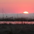 Sonnenaufgang in den Bangweulu-Sümpfen, Sambia