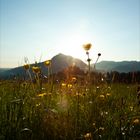 Sonnenaufgang in den Bergen