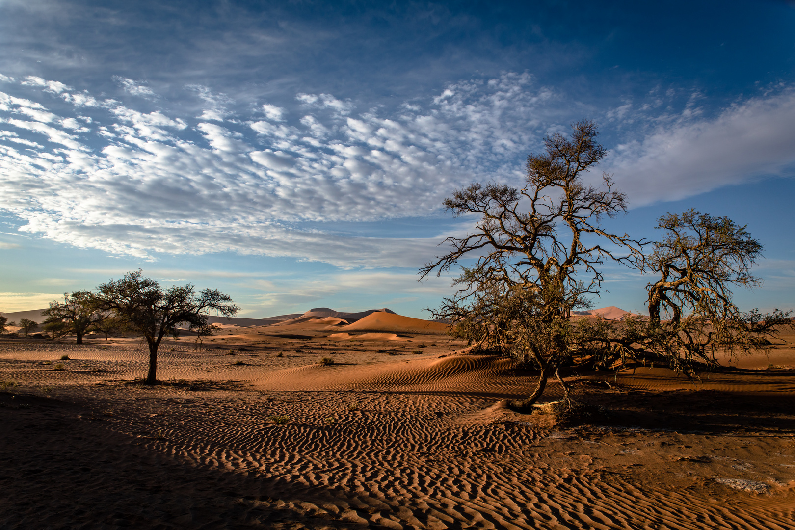 Sonnenaufgang in den Dünen