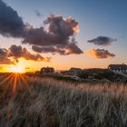 Sonnenaufgang in den Dünen