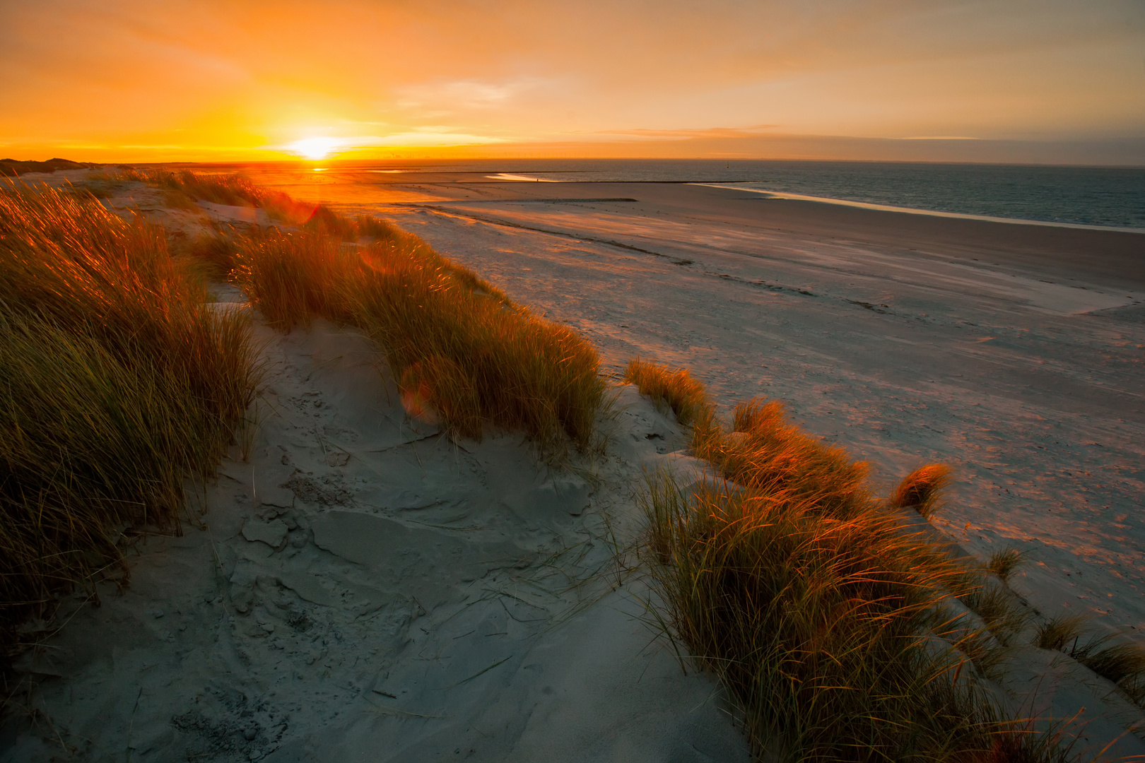 Sonnenaufgang in den Dünen