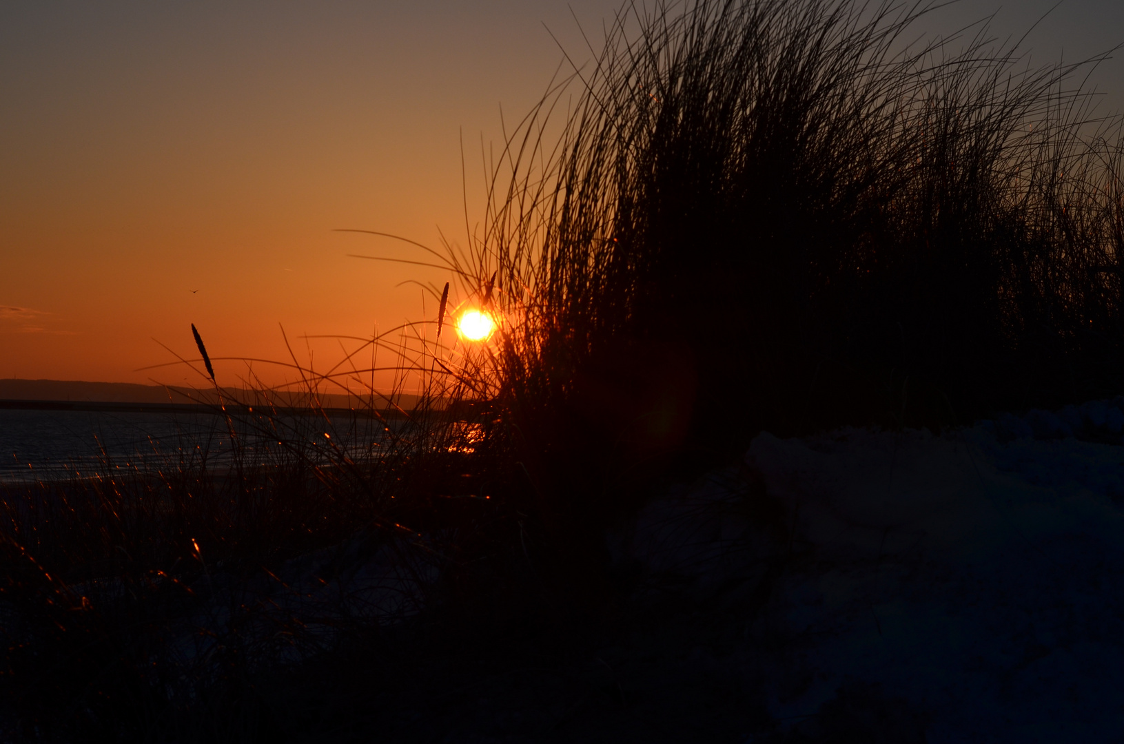 Sonnenaufgang in den Dünen