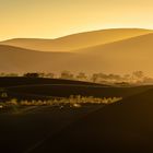 Sonnenaufgang in den Dünen der Namib