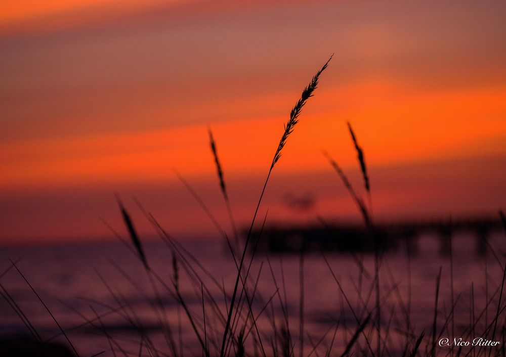 Sonnenaufgang in den Dünen