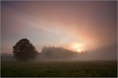 Sonnenaufgang in den Ederwiesen