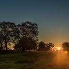 Sonnenaufgang in den Elbauen