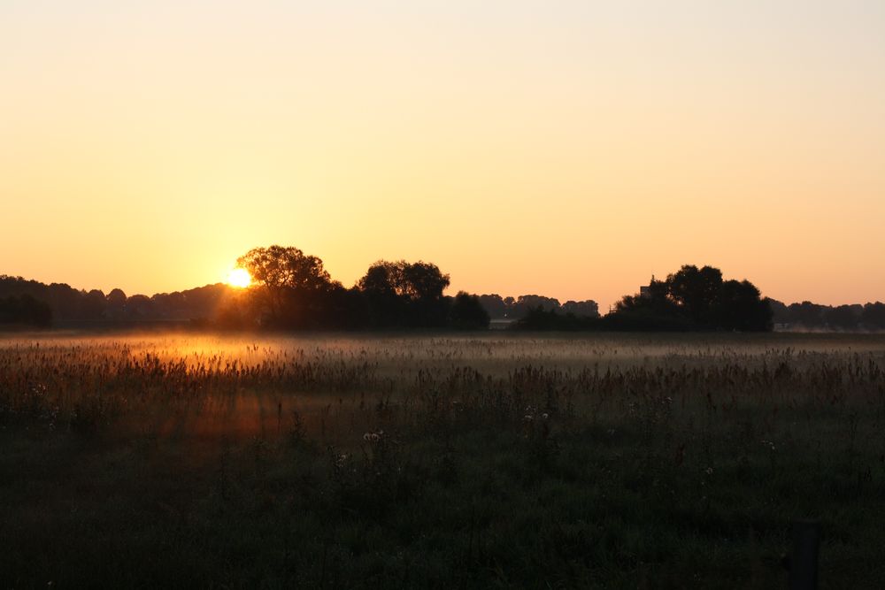 Sonnenaufgang in  den Elbwiesen