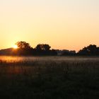 Sonnenaufgang in  den Elbwiesen