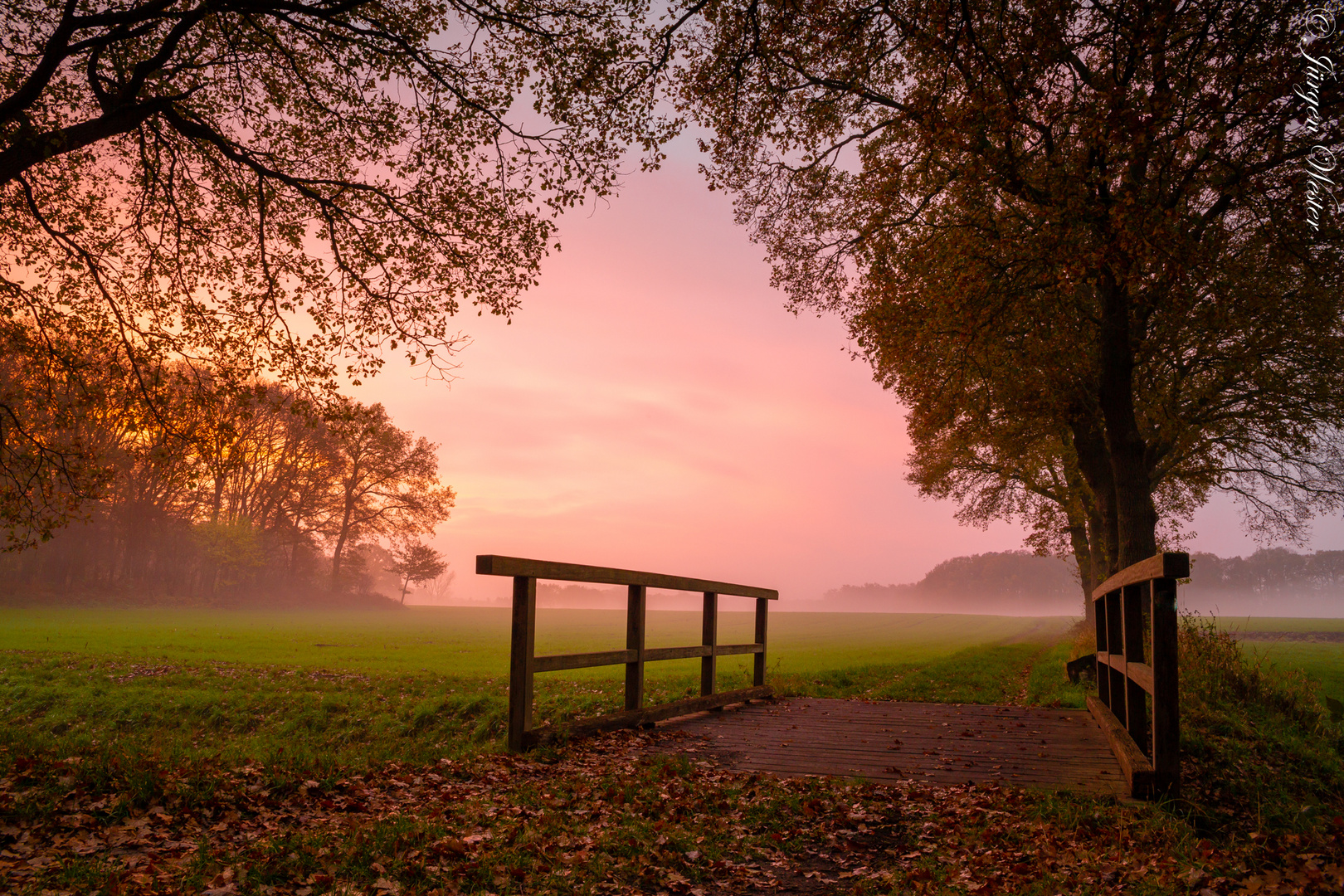 Sonnenaufgang in den Feldern