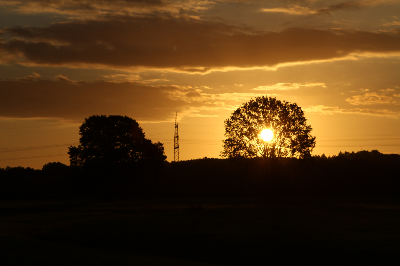 Sonnenaufgang in den Götzenhainer Wiesen