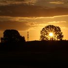 Sonnenaufgang in den Götzenhainer Wiesen