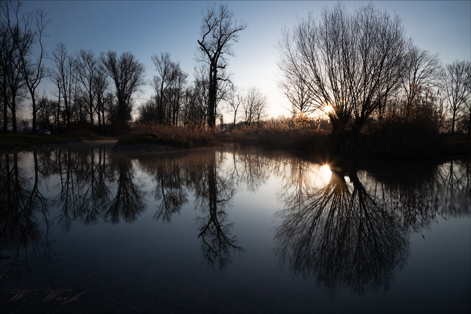 Sonnenaufgang in den Isarauen