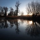 Sonnenaufgang in den Isarauen