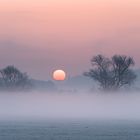 Sonnenaufgang in den Lahn Auen