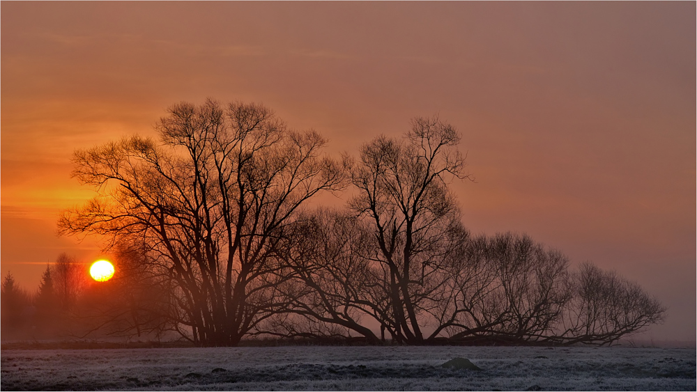 Sonnenaufgang in den Mainauen