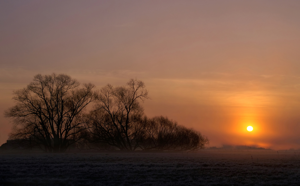 Sonnenaufgang in den Mainauen II