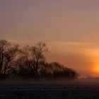 Sonnenaufgang in den Mainauen II