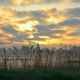 Landschaft