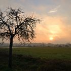 Sonnenaufgang in den Rieselfeldern bei Münster