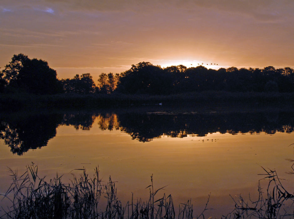 Sonnenaufgang in den Rieselfeldern