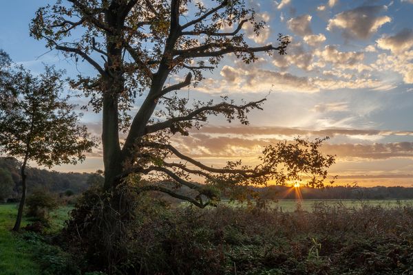 Sonnenaufgang in den Ruhrauen