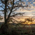 Sonnenaufgang in den Ruhrauen