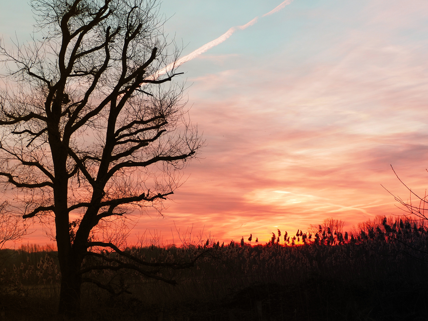 Sonnenaufgang in den Ruhrwiesen 2