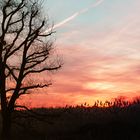 Sonnenaufgang in den Ruhrwiesen 2