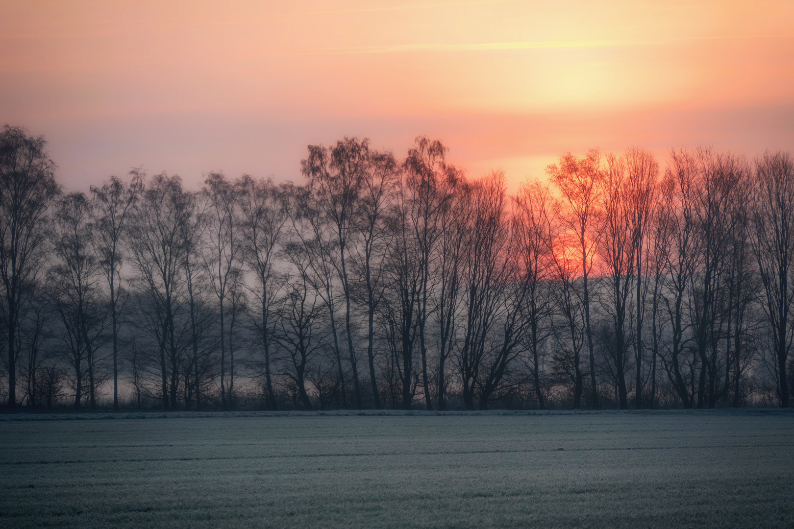 Sonnenaufgang in den Ruhrwiesen