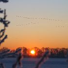 Sonnenaufgang in den Rurauen